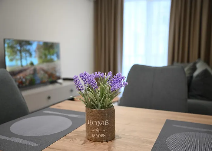 The Minimalist Escape Appartement *